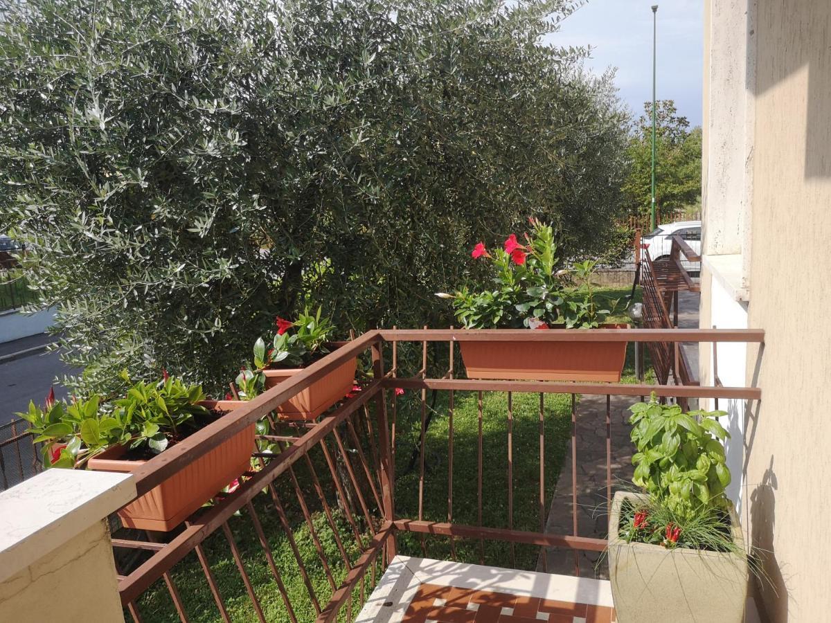 Ai Quattro Ulivi Leilighet Peschiera del Garda Eksteriør bilde